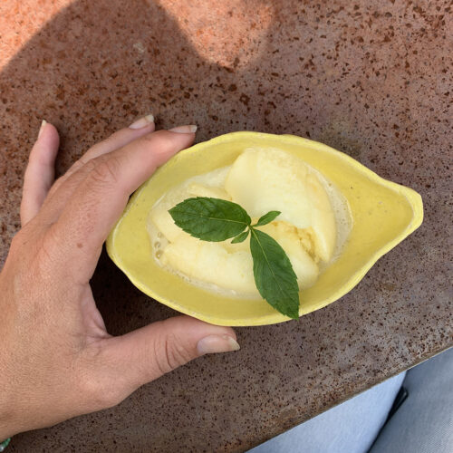 Lemon bowl