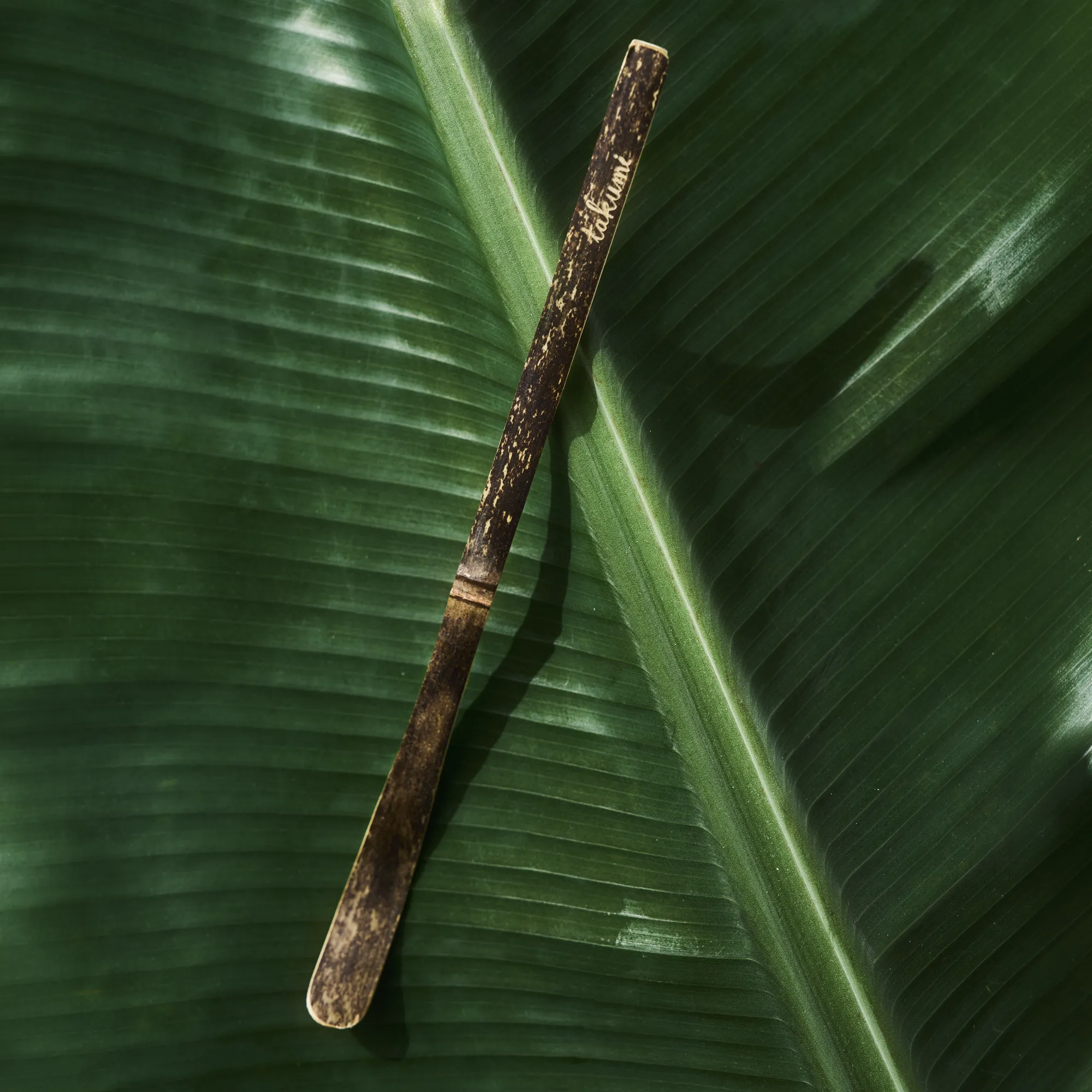 Bambu sked, Chashaku - Bild 2
